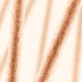 Fibres Capillaires Densifiantes