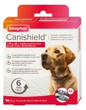 Beaphar Canishield Collier Grands Chiens 2 Colliers