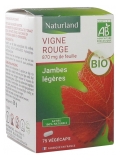 Vigne Rouge - Complément Alimentaire Bio en Capsules Végétales de 75 unités