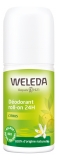 Weleda Déodorant Roll-On 24H Citrus - 50 ml