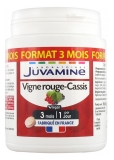 Juvamine Promesses Santé Vigne Rouge Cassis 90 Comprimés