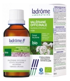 Ladrôme Extrait de Plante Valériane Officinale Rhizome 50 ml Fr/Nl/es