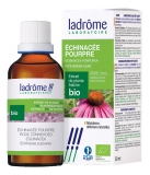 Ladrôme Extrait de Plante Echinacee Pourpre Plante Entière Fleurie 100 ml Fr/Nl/es