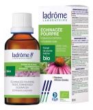 Ladrôme Extrait de Plante Echinacee Pourpre Plante Entière Fleurie 50 ml Fr/Nl/es