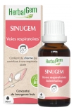 Herbalgem Sinugem Bio Complexe de Gemmothérapie Concentrée 30 ml