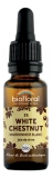 Biofloral 35 White Chestnut Marronier Bio 20 ml Fleur de Bach