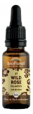 Biofloral 37 Wild Rose Églantier Bio Demeter 20 ml Fleur de Bach