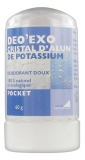 Exopharm Deo'Exo Cristal d'Alun 60 g