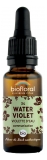 Biofloral 34 Water Violet Violette d'Eau Bio Demeter Fleur de Bach 20 ml