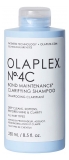 Shampoing Clarifiant Pour Cheveux 250 ml