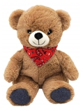 Plic Care Peluche Chaud et Froid Ourson