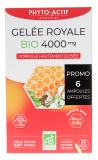 Phyto-Actif Gelée Royale 4000 mg Bio 20 Ampoules dont 6 Ampoules Offertes