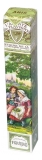 Les Anis de Flavigny Étui 90 g 