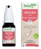 HerbalGem Sinugem Spray - Voies Respiratoires - Bio 15 ml