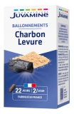 Juvamine Charbon Levure 45 Unités