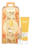 Weleda Cold Cream Visage 30 ml + Everon Stick Lèvres 4,8 g
