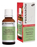 Pranarôm Gaulthérie Odorante Bio Gaultheria Feuille Hect 30 ml