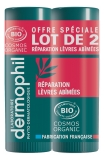 Dermophil Certifié Bio Lot de 2 Sticks Lèvres Réparation Lèvres Abîmées 4 g (Anc. Réparation Forte)