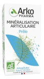 Arkopharma Arkog Prèle Bio - 45 Gel.