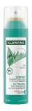 Klorane Ortie & Vitamine E Shampoing Sec Purifiant Cheveux Gras 150 ml