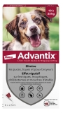 Advantix Chien Moyen – Anti-Puces et Anti-Tiques – 10-25Kg – 6 Pipettes