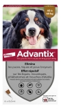 Advantix Très Grand Chien – Anti-Puces et Anti-Tiques – 40-60Kg – 4 Pipettes