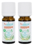 Huile Essentielle Bio d'Eucalyptus Radié - Lot de 2 x 10 ml