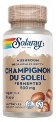 Solaray Champignon du Soleil 500 mg - 60 Caps. V&eacute;g.