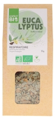 Esprit Bio Eucalyptus &agrave; Infuser Bio 55 g