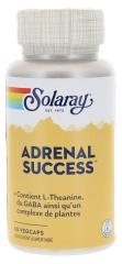 Solaray Adrenal Success - 60 Caps. V&eacute;g.