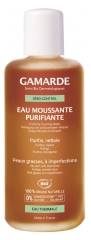 Gamarde S&eacute;bo-Control Eau Moussante Purifiante 200 ml