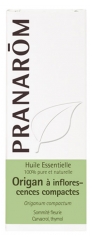 Pranar&ocirc;m Huile Essentielle Origan &agrave; Inflorescences Compactes Origanum Compactum Sommit&eacute; Fleurie Hect 10 ml