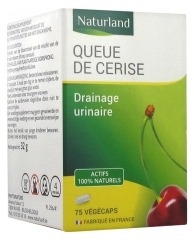 Veuillez trouver ci-dessous le titre (d&eacute;signation) pour le produit alternatif :

Arkopharma Queue de Cerise 100 G&eacute;lules