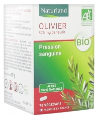 Compl&eacute;ment Alimentaire &agrave; base d'extrait de feuille d'olivier biologique en V&eacute;g&eacute;caps - 75 capsules v&eacute;g&eacute;tales