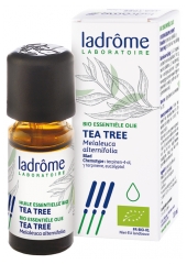 Ladr&ocirc;me Huile Ess. Tea Tree Feuille 10 ml Fr/Nl