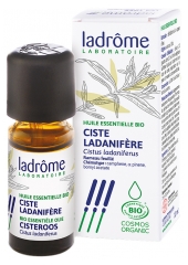 Ladr&ocirc;me Huile Ess. Ciste Ladanifere Rameau Feuille 10 ml Fr/Nl