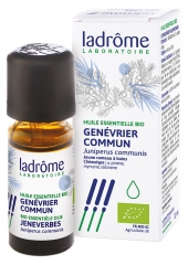 Ladr&ocirc;me Huile Ess. Gen&eacute;vrier Commun Rameau Aromath&eacute;rapie Baies 10 ml Fr/Nl