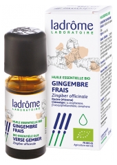 Ladr&ocirc;me Huile Ess. Gingembre Frais Rhizome 10 ml Fr/Nl