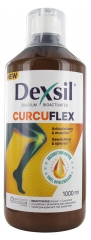 Dexsil Curcuflex 1 l