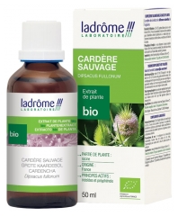 Ladr&ocirc;me Extrait de Plante Card&egrave;re Sauvage Racine 50 ml Fr/Nl/es
