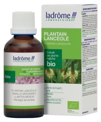 Ladr&ocirc;me Extrait de Plante Plantain Lanc&eacute;ol&eacute; Feuille 50 ml Fr/Nl/es