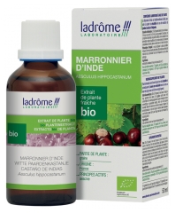 Ladr&ocirc;me Extrait de Plante Marronnier d'Inde Graine 50 ml Fr/Nl/es