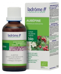 Ladr&ocirc;me Extrait de Plante Aub&eacute;pine Sommit&eacute; Fleurie et Fruit 50 ml Fr/Nl/es