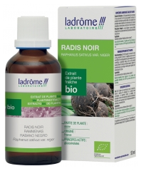 Ladr&ocirc;me Extrait de Plante Radis Noir Racine 50 ml Fr/Nl/es