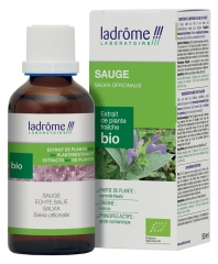 Ladr&ocirc;me Extrait de Plante Sauge Partie A&eacute;rienne Fleurie 50 ml Fr/Nl/es