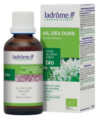 Ladr&ocirc;me Extrait de Plante Ail Des Ours Plante Enti&egrave;re Fleurie 50 ml Fr/Nl/es