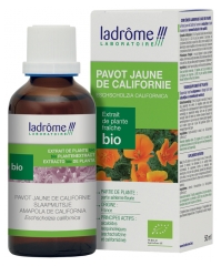 Ladr&ocirc;me Extrait de Plante Pavot Jaune de Californie Partie A&eacute;rienne Fleurie 50 ml Fr/Nl/es