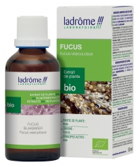 Ladr&ocirc;me Extrait de Plante Fucus Thalle 50 ml Fr/Nl/es
