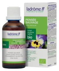 Ladr&ocirc;me Extrait de Plante Pens&eacute;e Sauvage Partie A&eacute;rienne Fleurie 50 ml Fr/Nl/es