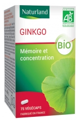 Ginkgo Biloba Bio 100 Comprim&eacute;s